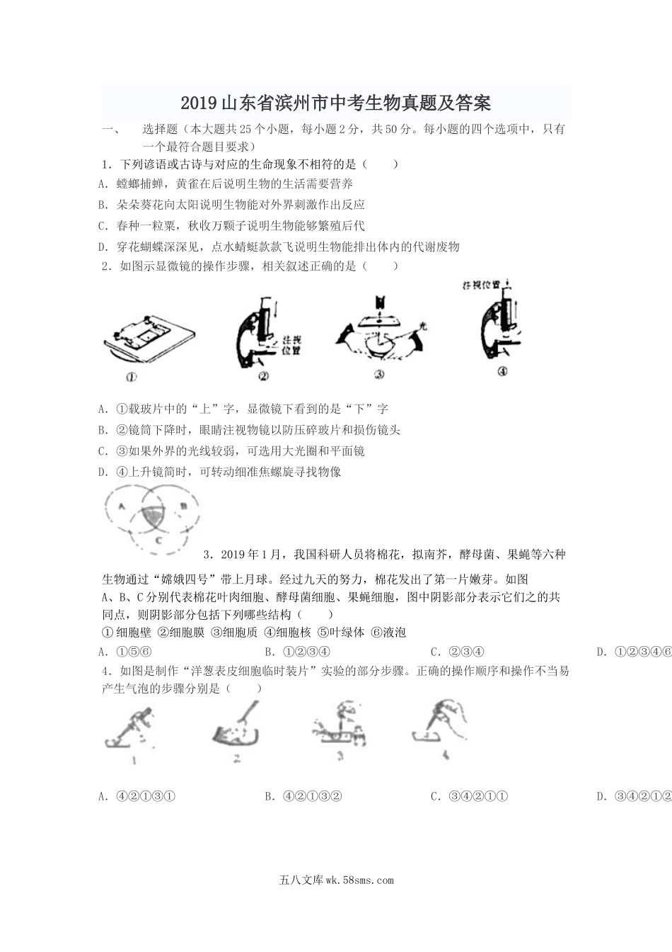 2019山东省滨州市中考生物真题及答案.doc_第1页