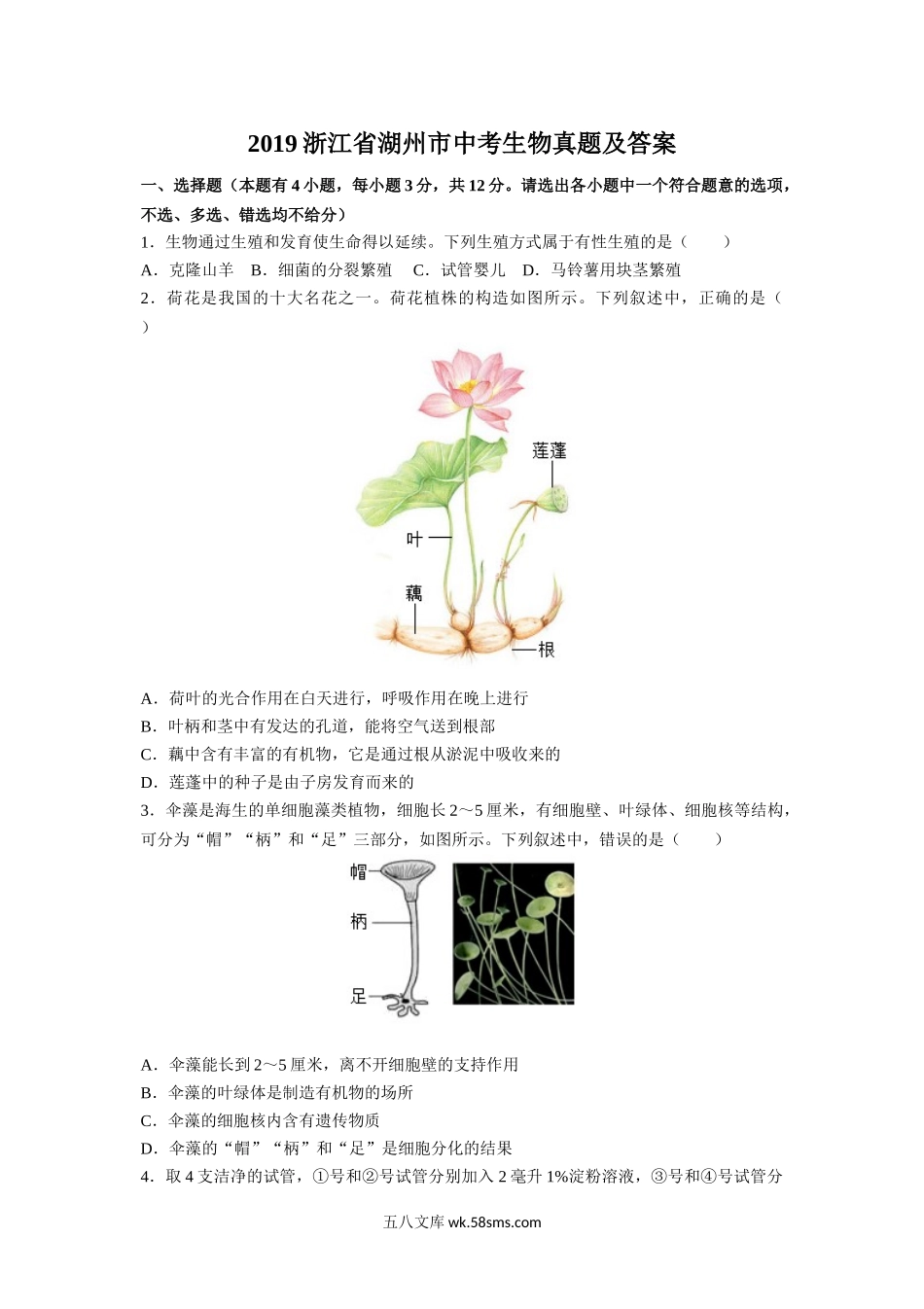 2019浙江省湖州市中考生物真题及答案.doc_第1页