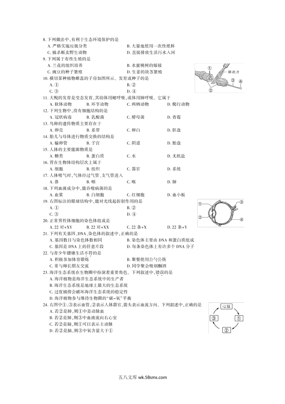 2020年福建中考生物试题及答案.doc_第2页