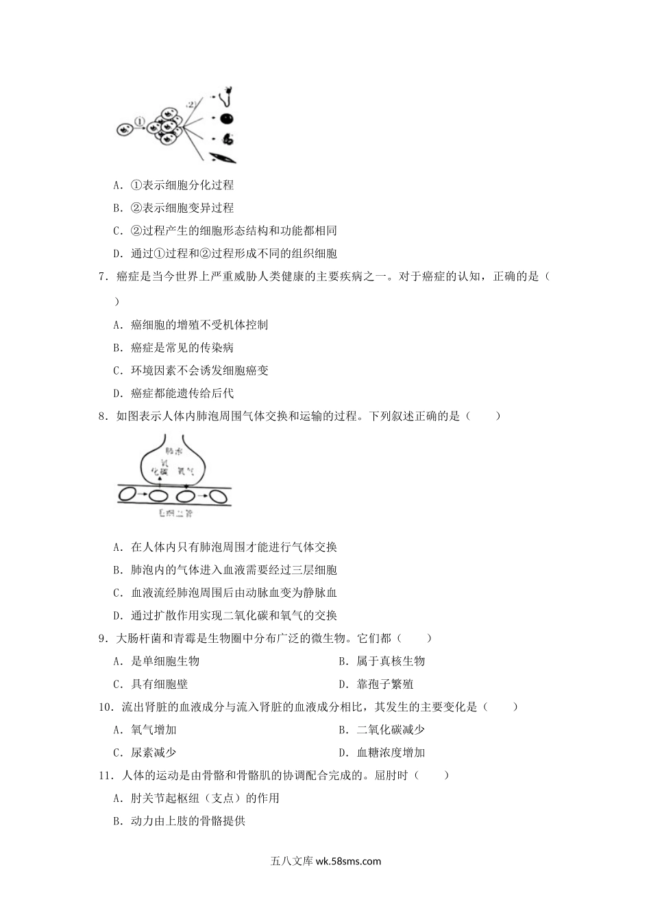 2020年广西南宁中考生物真题及答案.doc_第2页