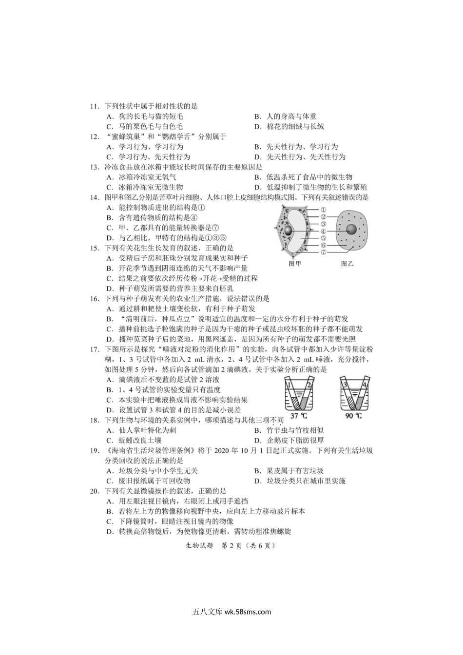 2020年海南省东方市中考生物试题及答案.doc_第2页