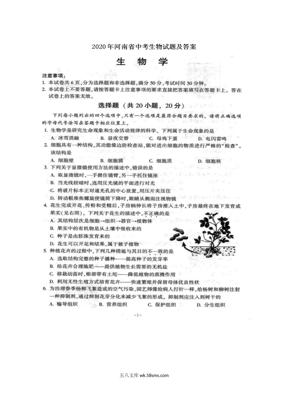 2020年河南省焦作中考生物试题及答案.doc_第2页