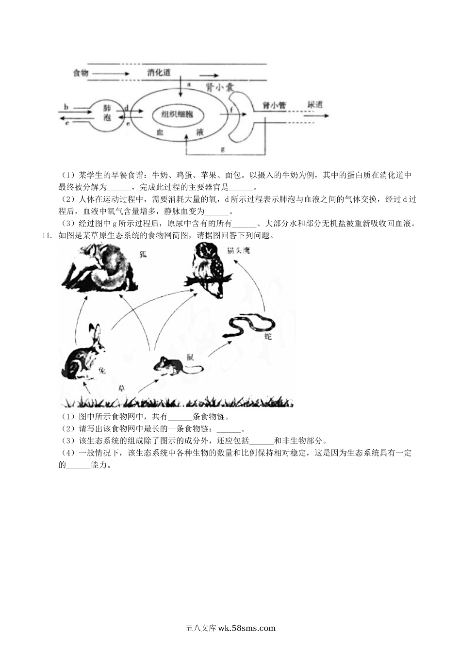 2020年湖北省荆门市中考生物真题及答案.doc_第3页