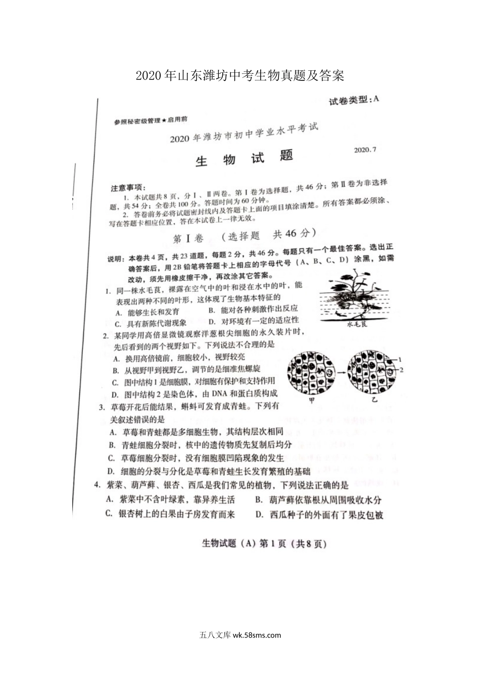 2020年山东潍坊中考生物真题及答案.doc_第1页