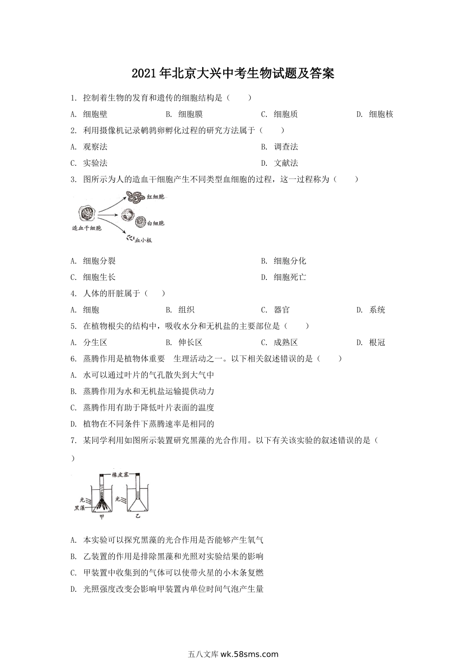 2021年北京大兴中考生物试题及答案.doc_第1页