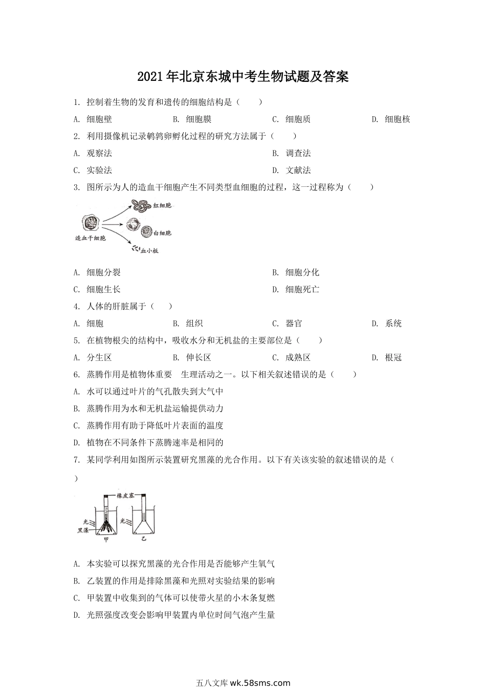 2021年北京东城中考生物试题及答案.doc_第1页