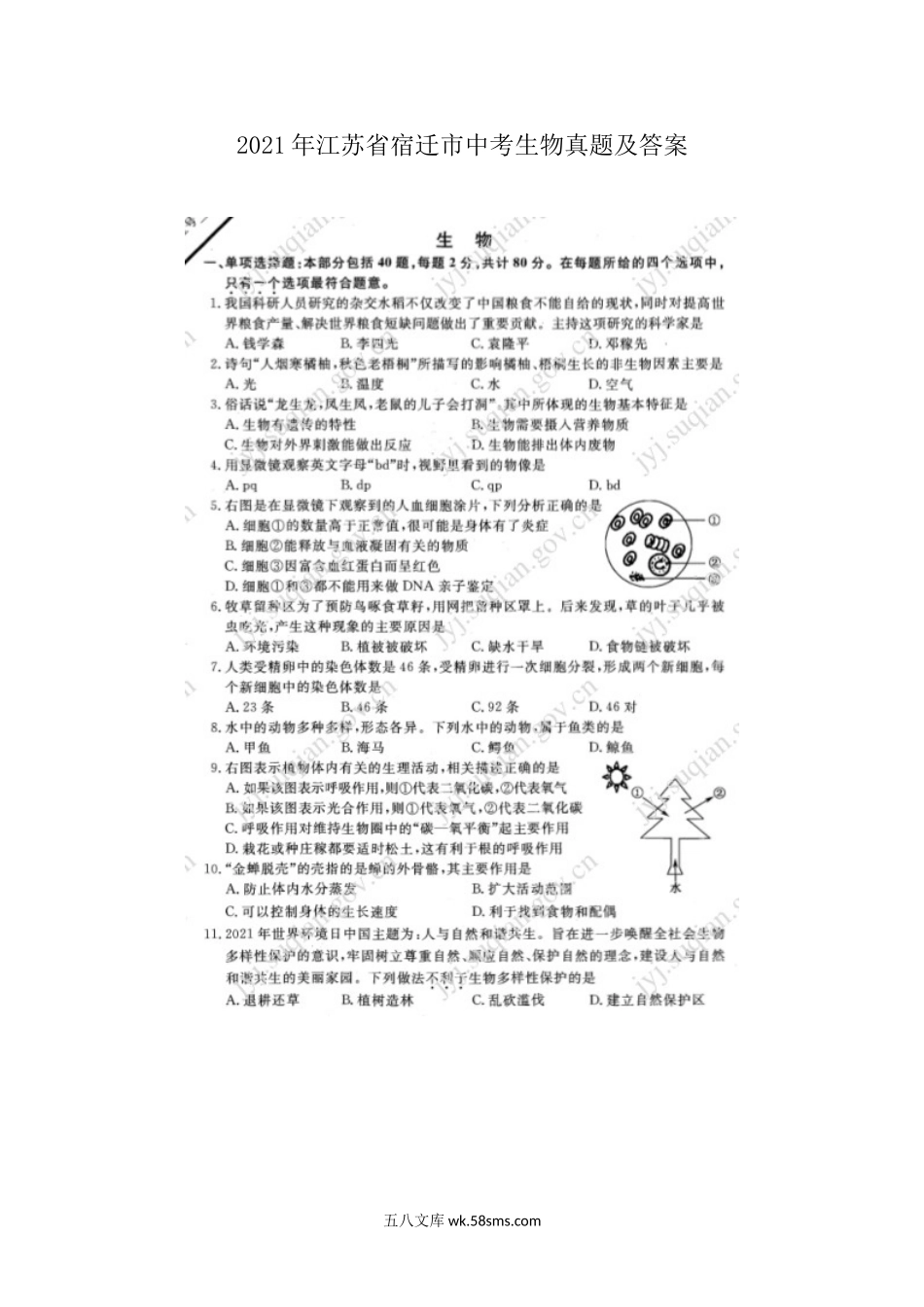 2021年江苏省宿迁市中考生物真题及答案.doc_第1页