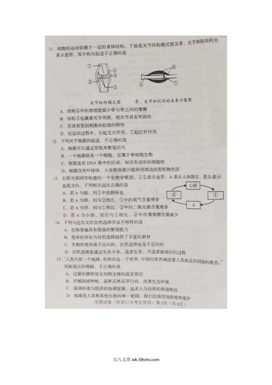 2021年辽宁省营口市中考生物真题.doc_第3页