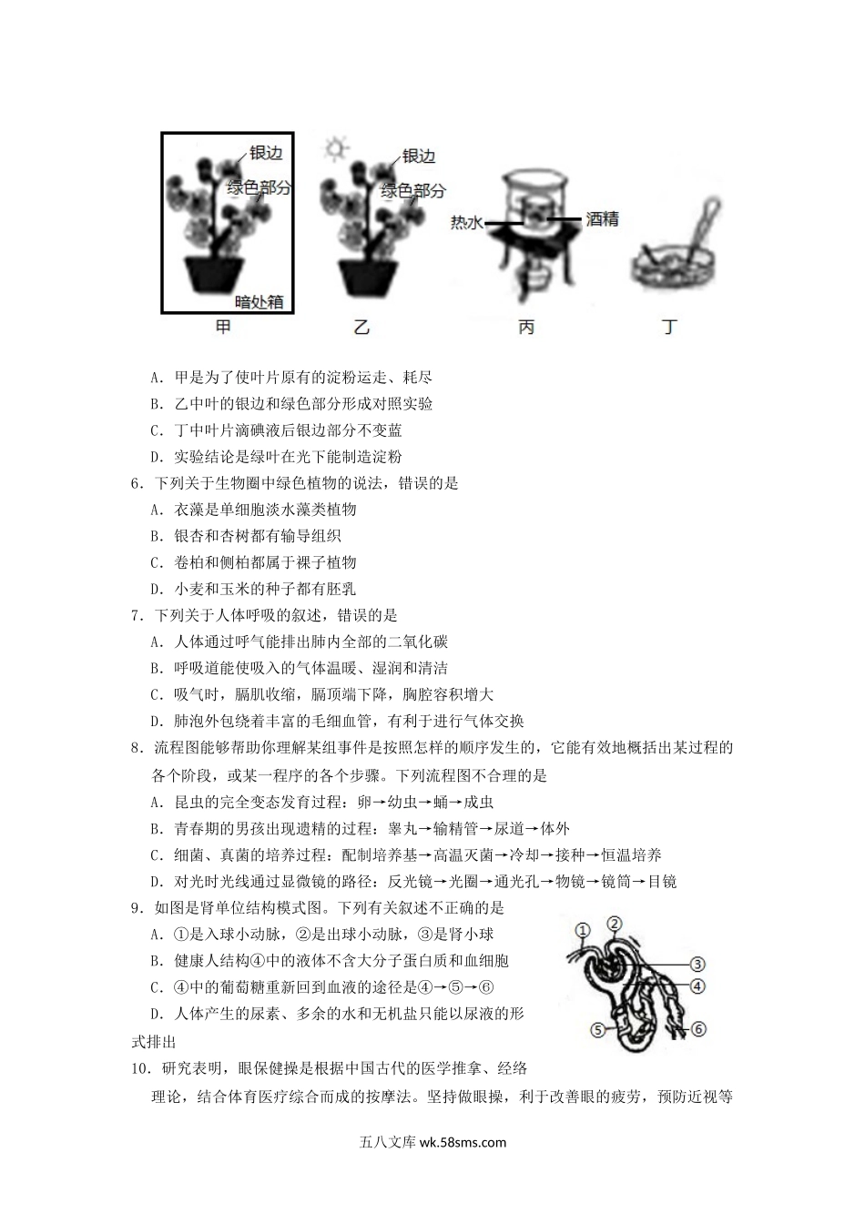 2021年山东省淄博市中考生物真题及答案.doc_第2页