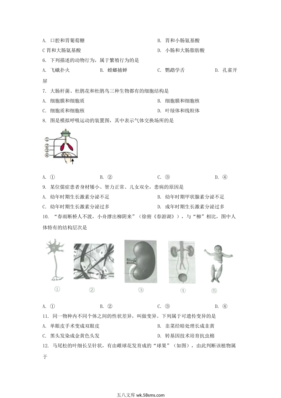 2022年江苏泰州中考生物试题及答案.doc_第2页