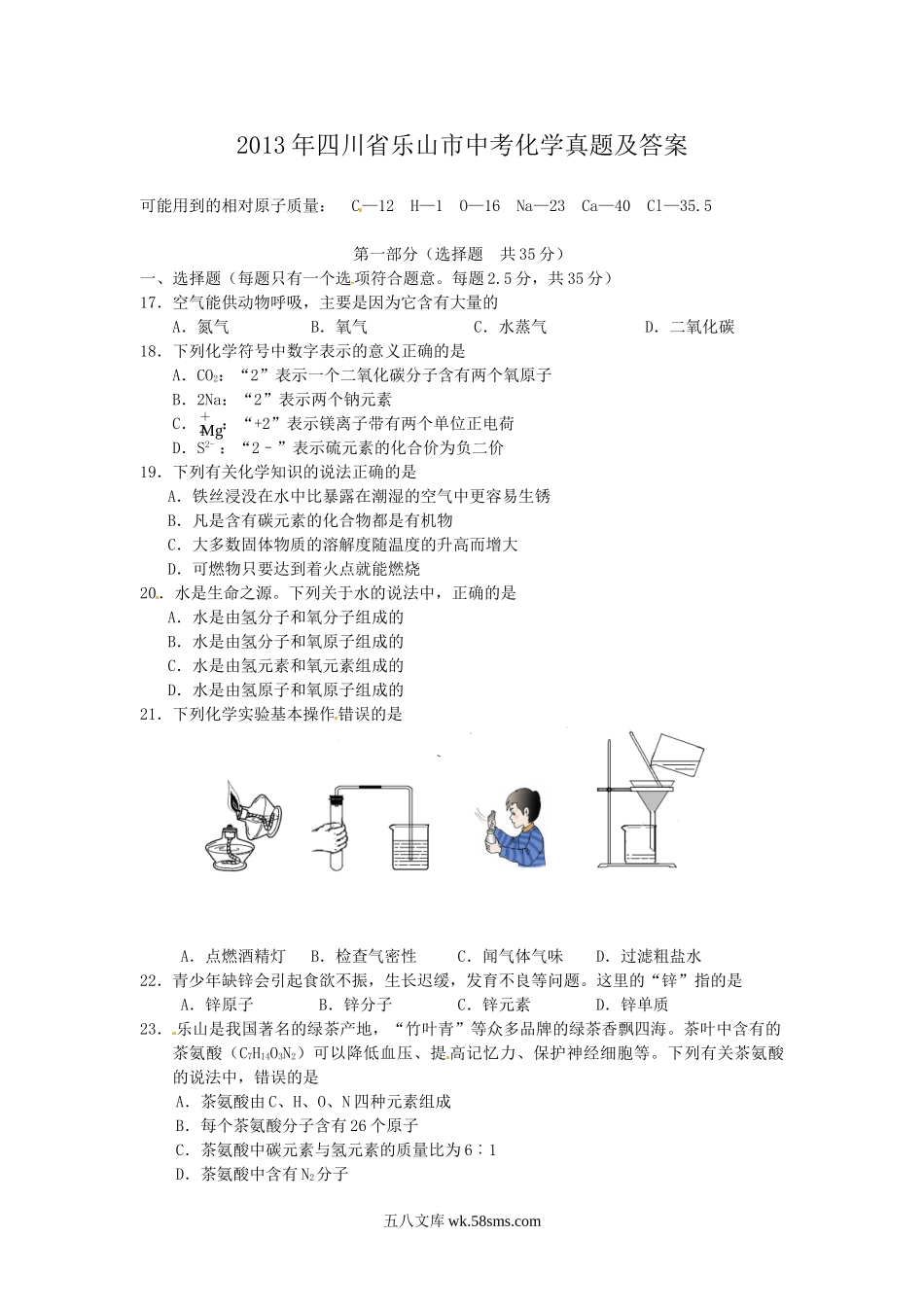 2013年四川省乐山市中考化学真题及答案.doc_第1页