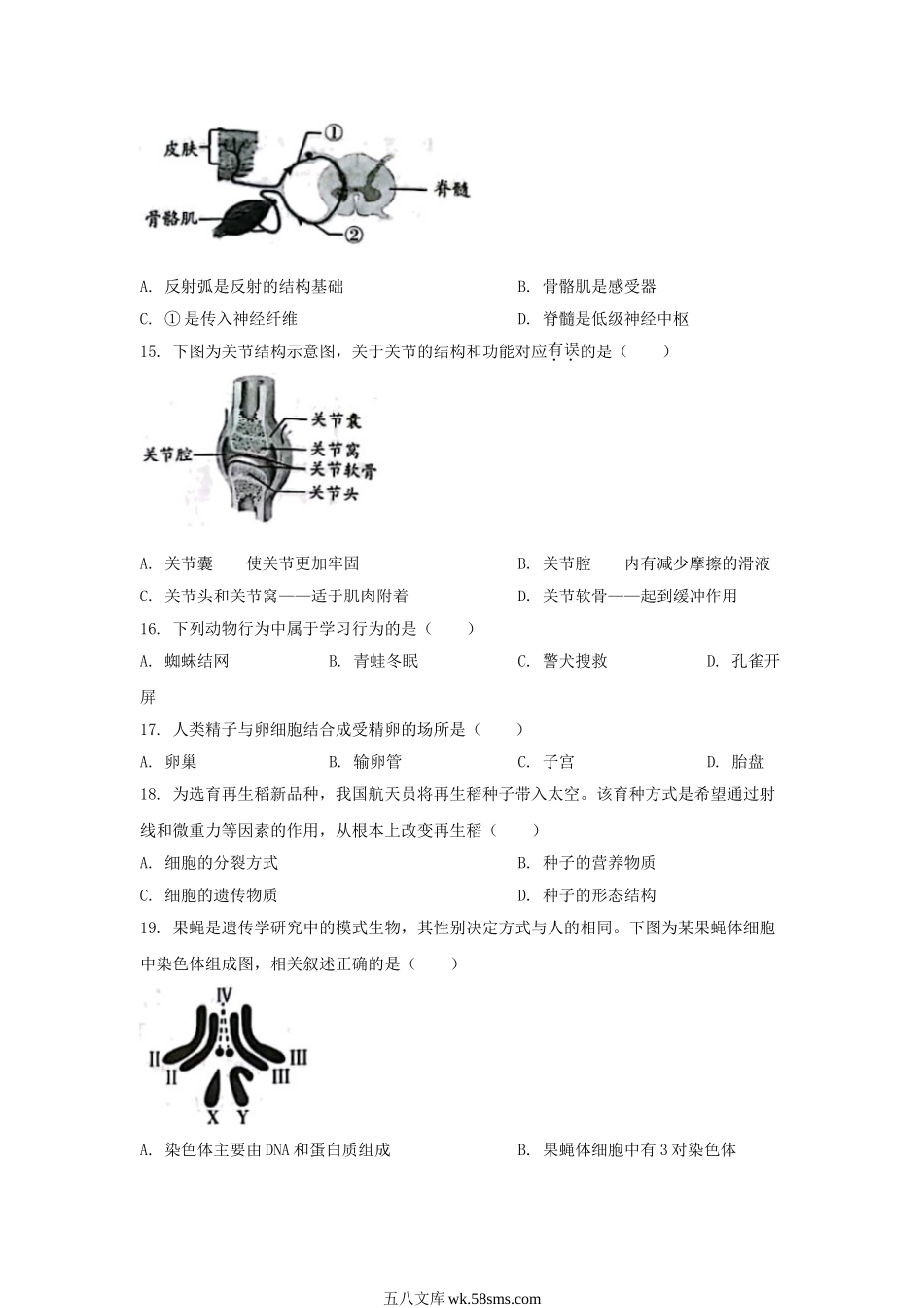 2023年北京崇文中考生物真题及答案.doc_第3页