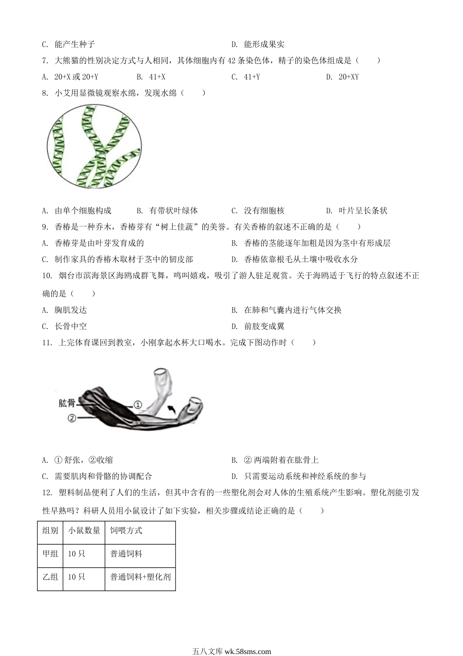 2024年山东烟台中考生物试题及答案.doc_第2页