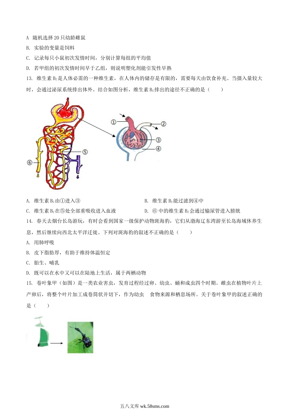 2024年山东烟台中考生物试题及答案.doc_第3页