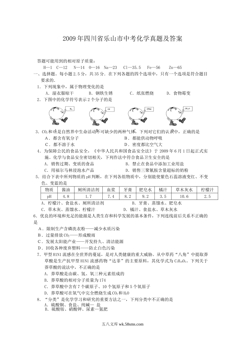 2009年四川省乐山市中考化学真题及答案.doc_第1页