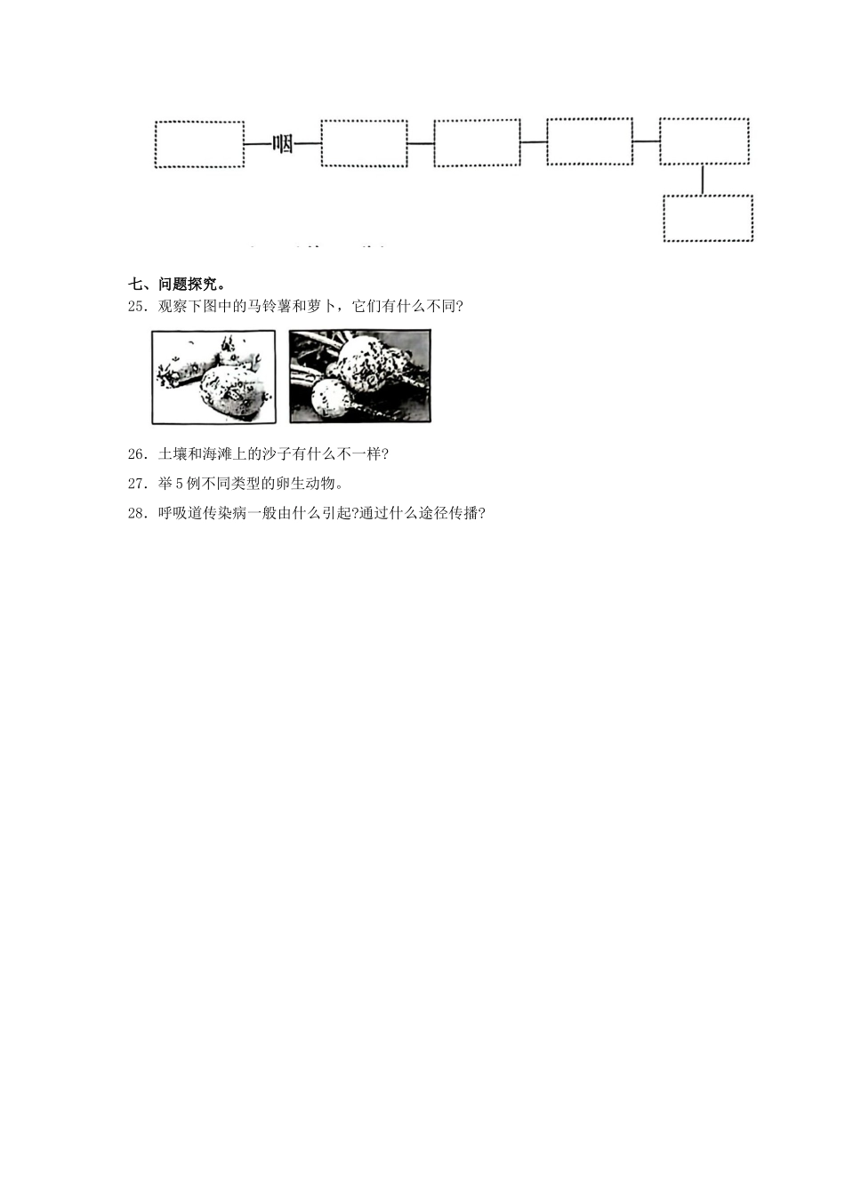 2023-2024学年安徽省亳州市谯城区四年级下学期期末科学真题及答案.doc_第3页