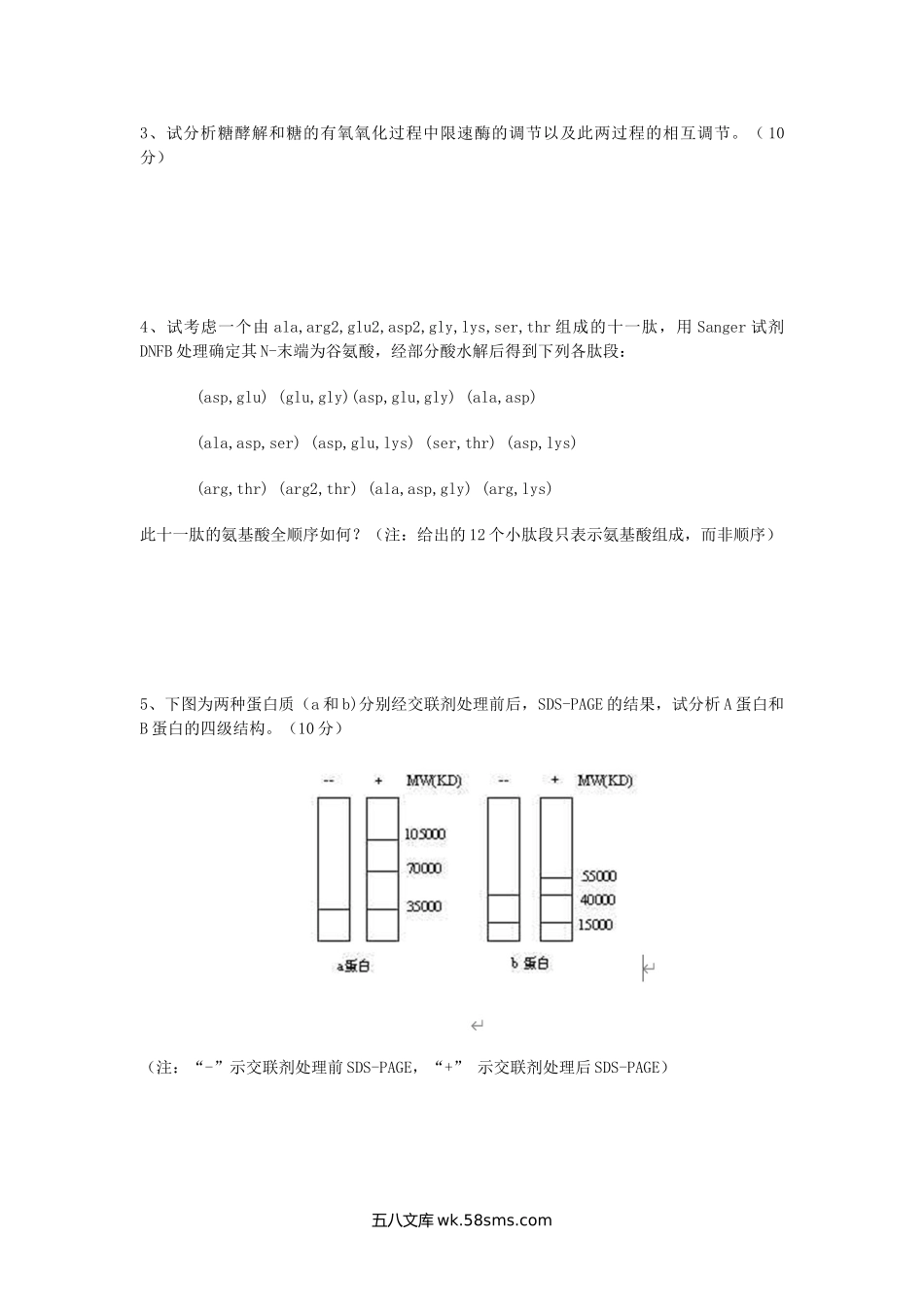 1993年陕西第四军医大学生物化学考研真题(A卷).doc_第2页