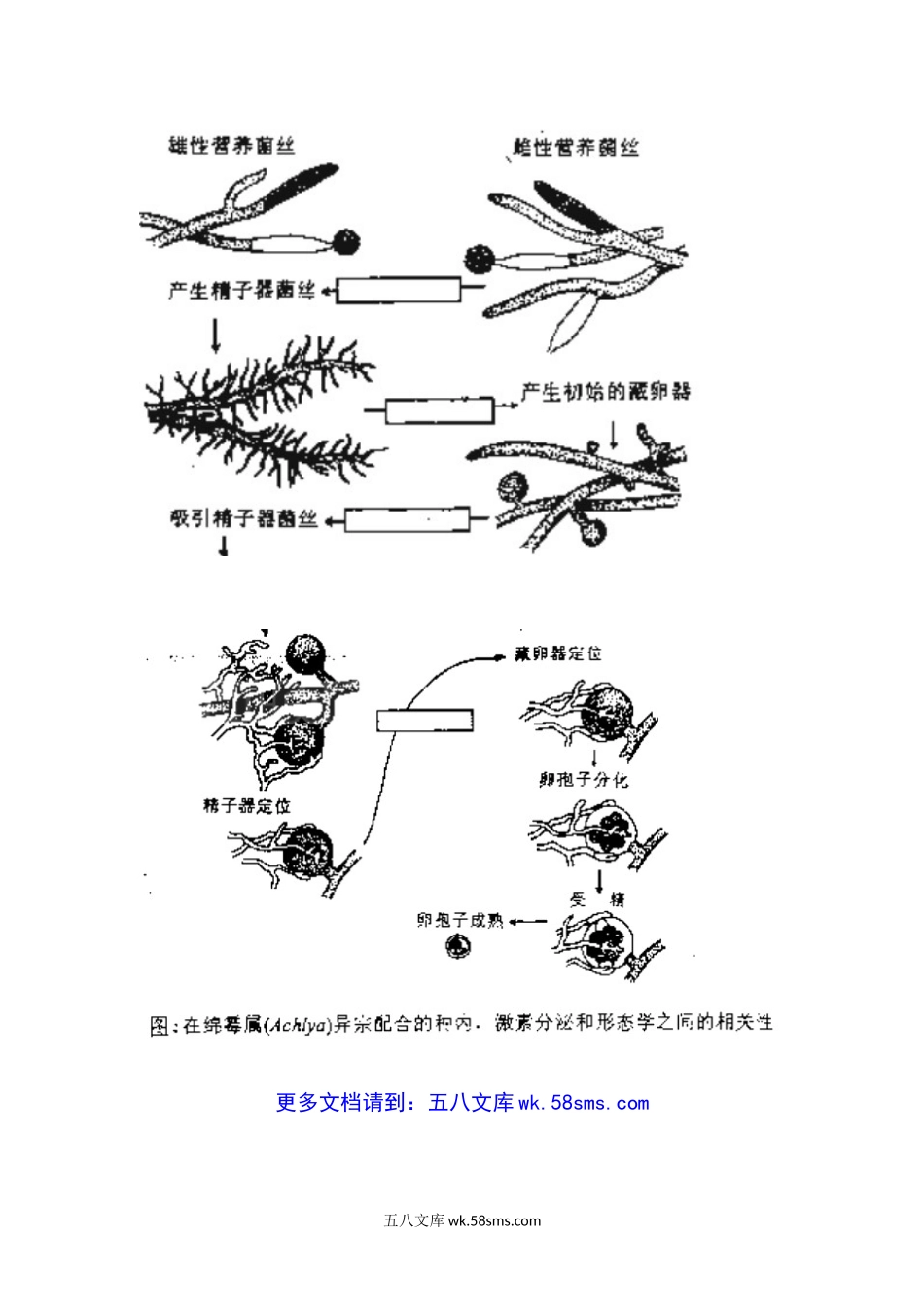 2000年天津南开大学真菌学考研真题.doc_第3页