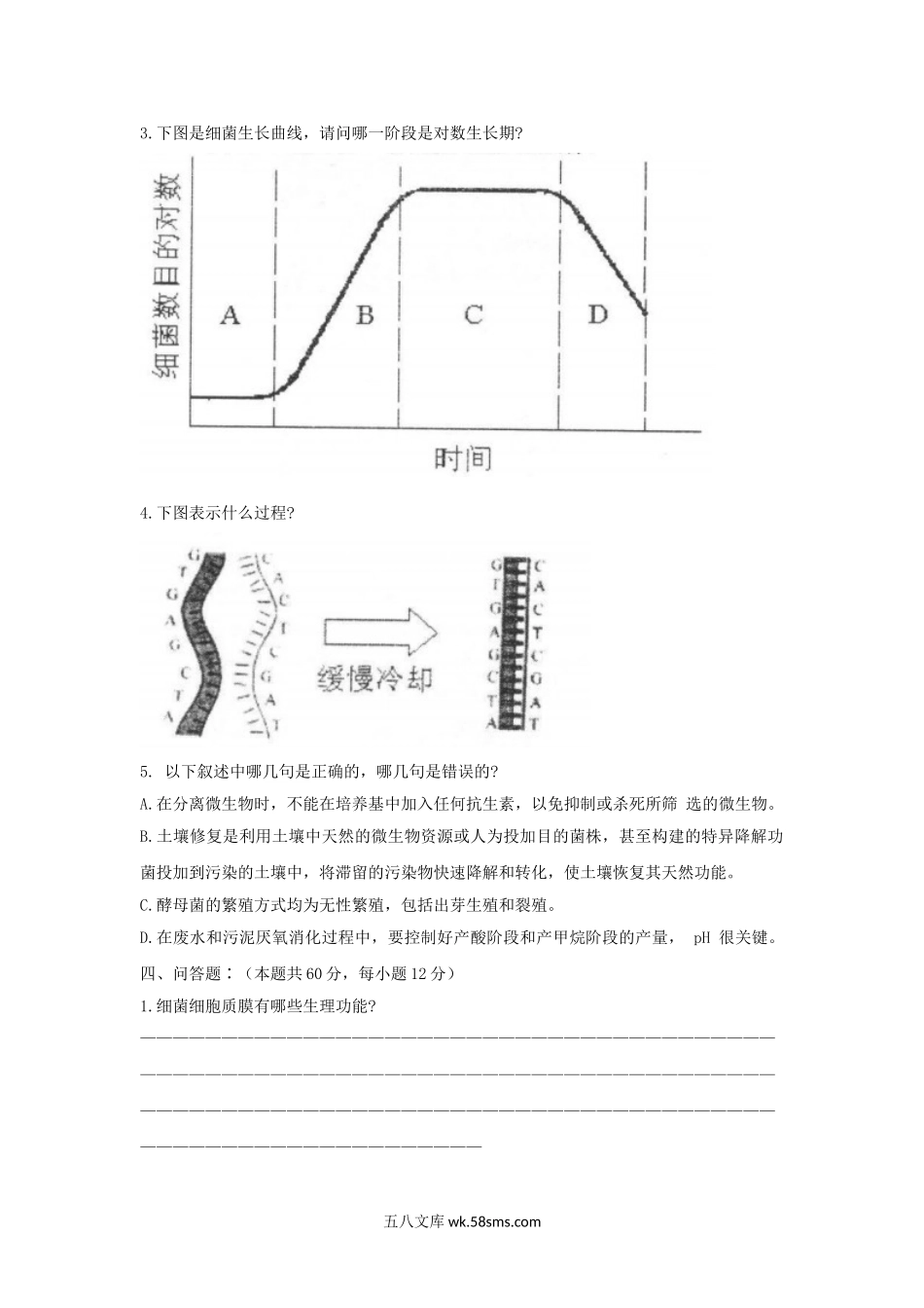 2003年上海师范大学环境微生物学考研真题.doc_第2页