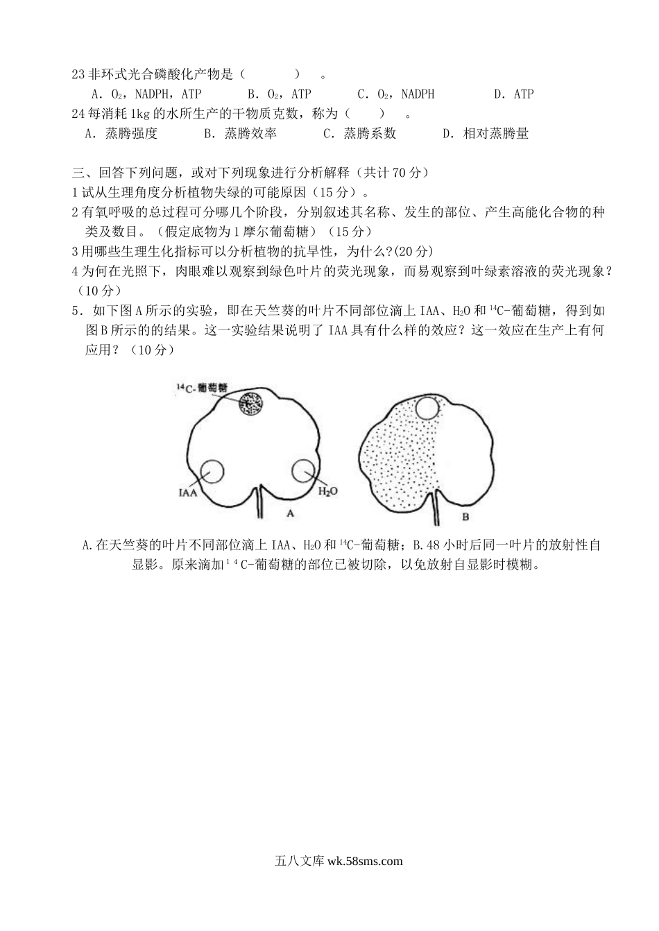 2004年江苏南京林业大学植物生理学考研真题.doc_第3页