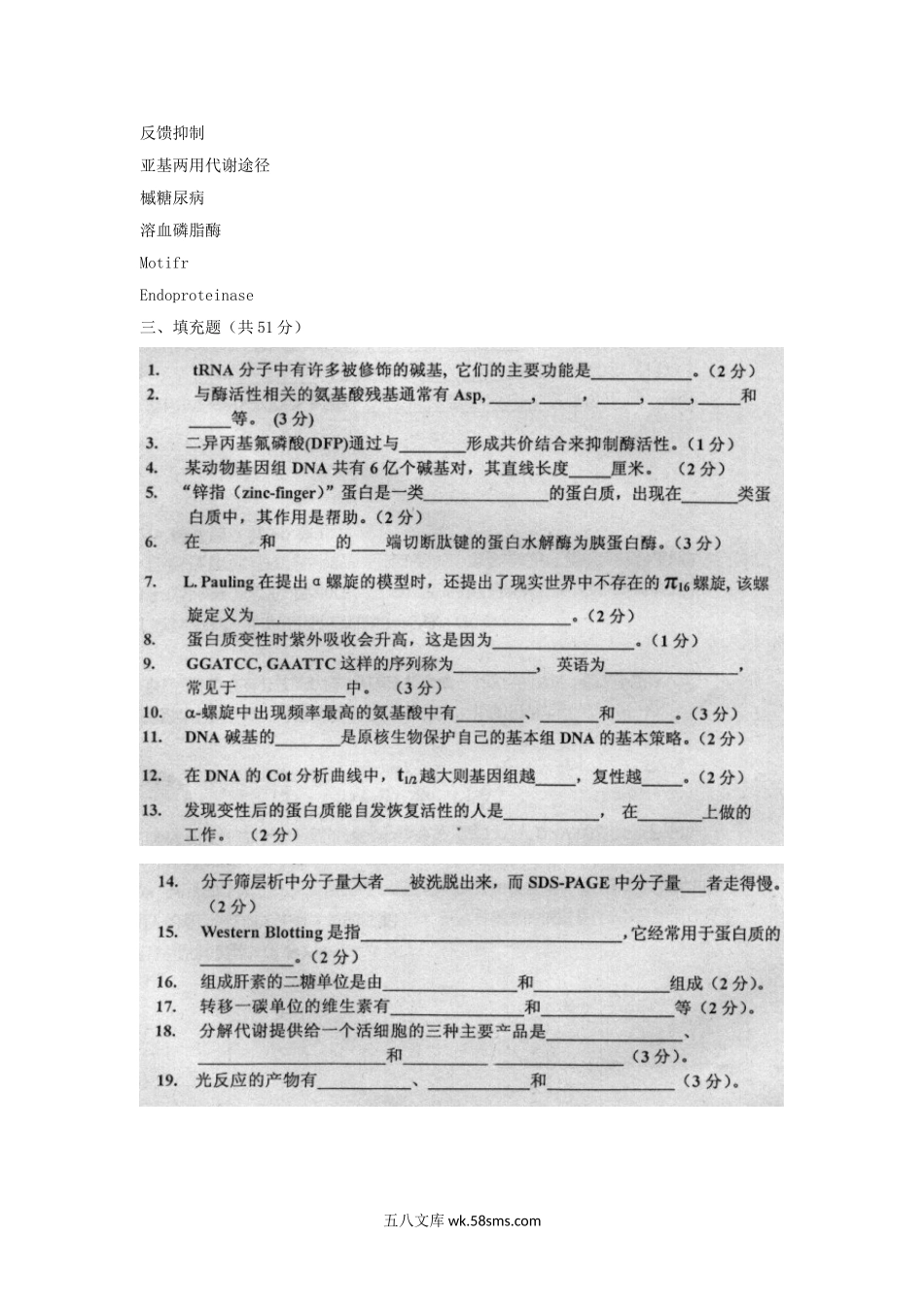 2004年上海复旦大学生物化学考研真题.doc_第2页