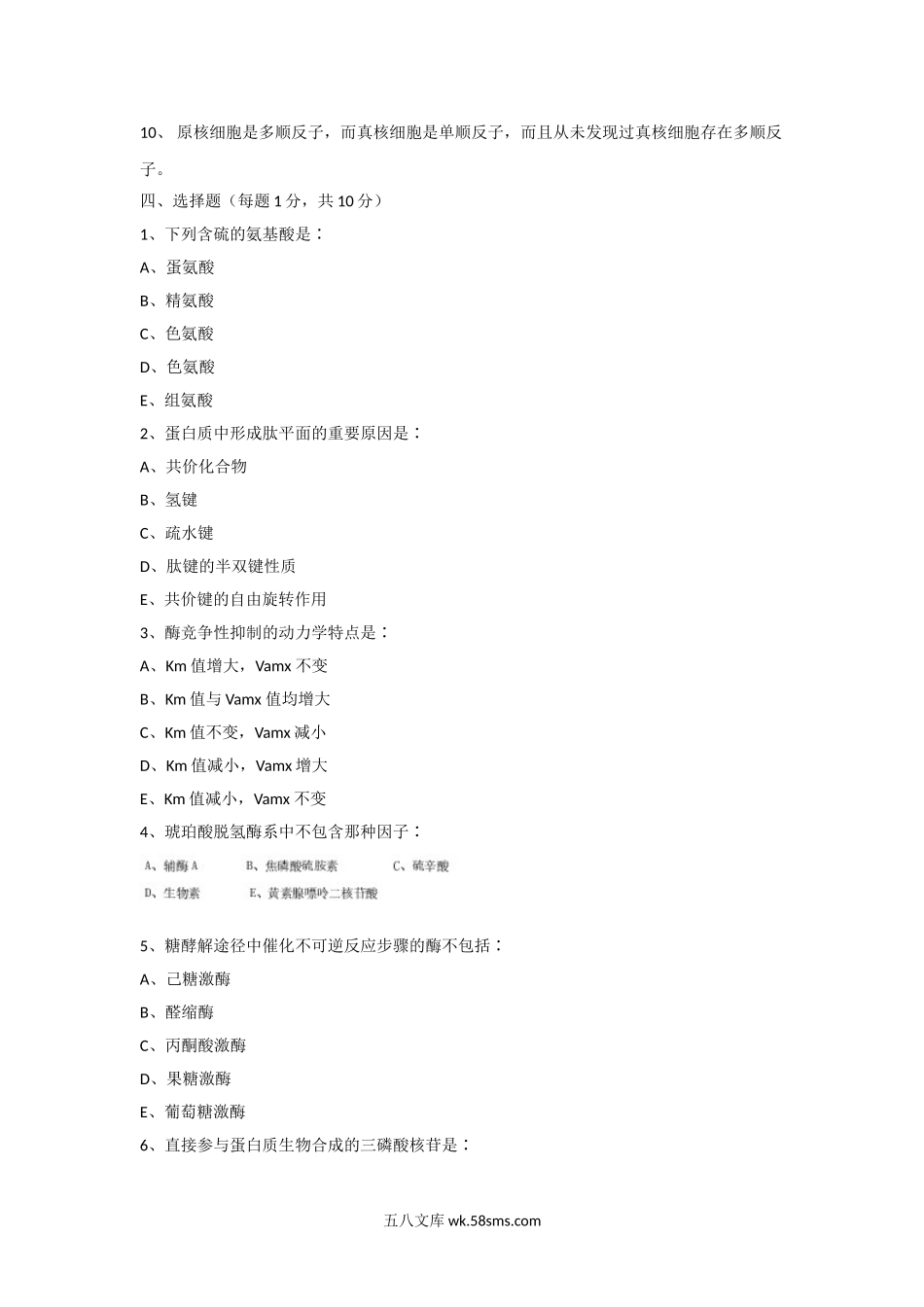 2009年天津商业大学生物化学考研真题.doc_第2页