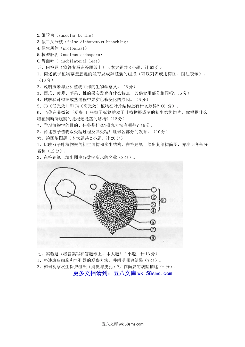 2012年湖北华中农业大学植物学考研真题.doc_第3页