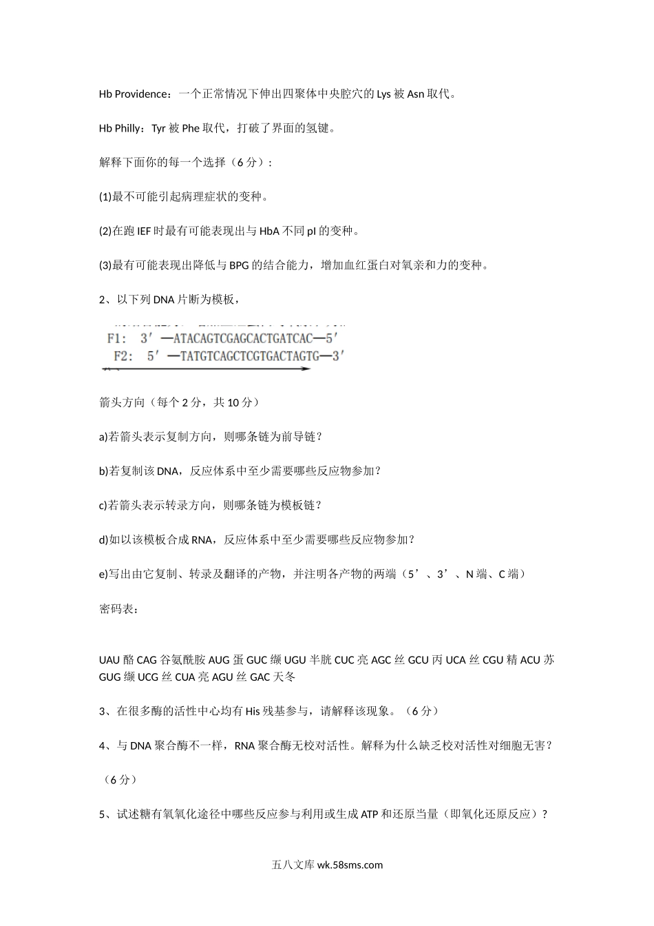 2016年福建华侨大学生物化学考研真题.doc_第2页