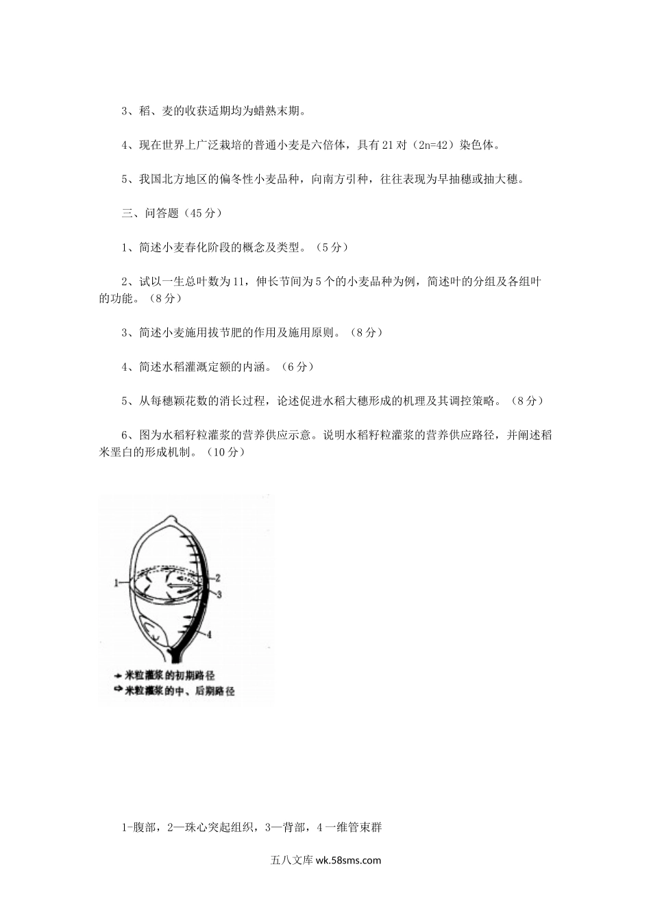 2016年江苏扬州大学作物栽培学与作物育种学考研真题A卷.doc_第3页