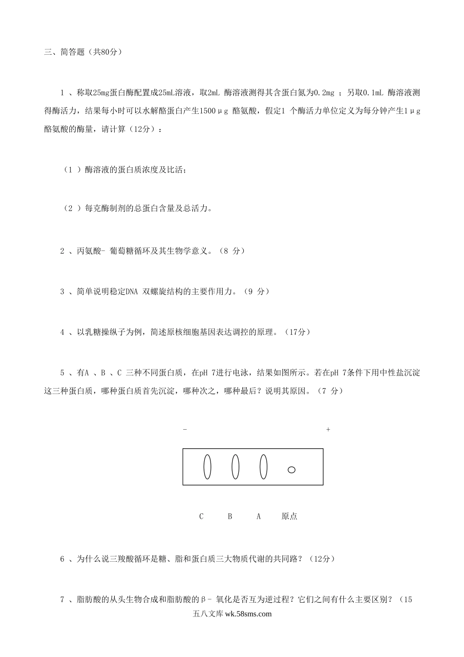 2017年辽宁大连工业大学生物化学考研真题B卷.doc_第2页