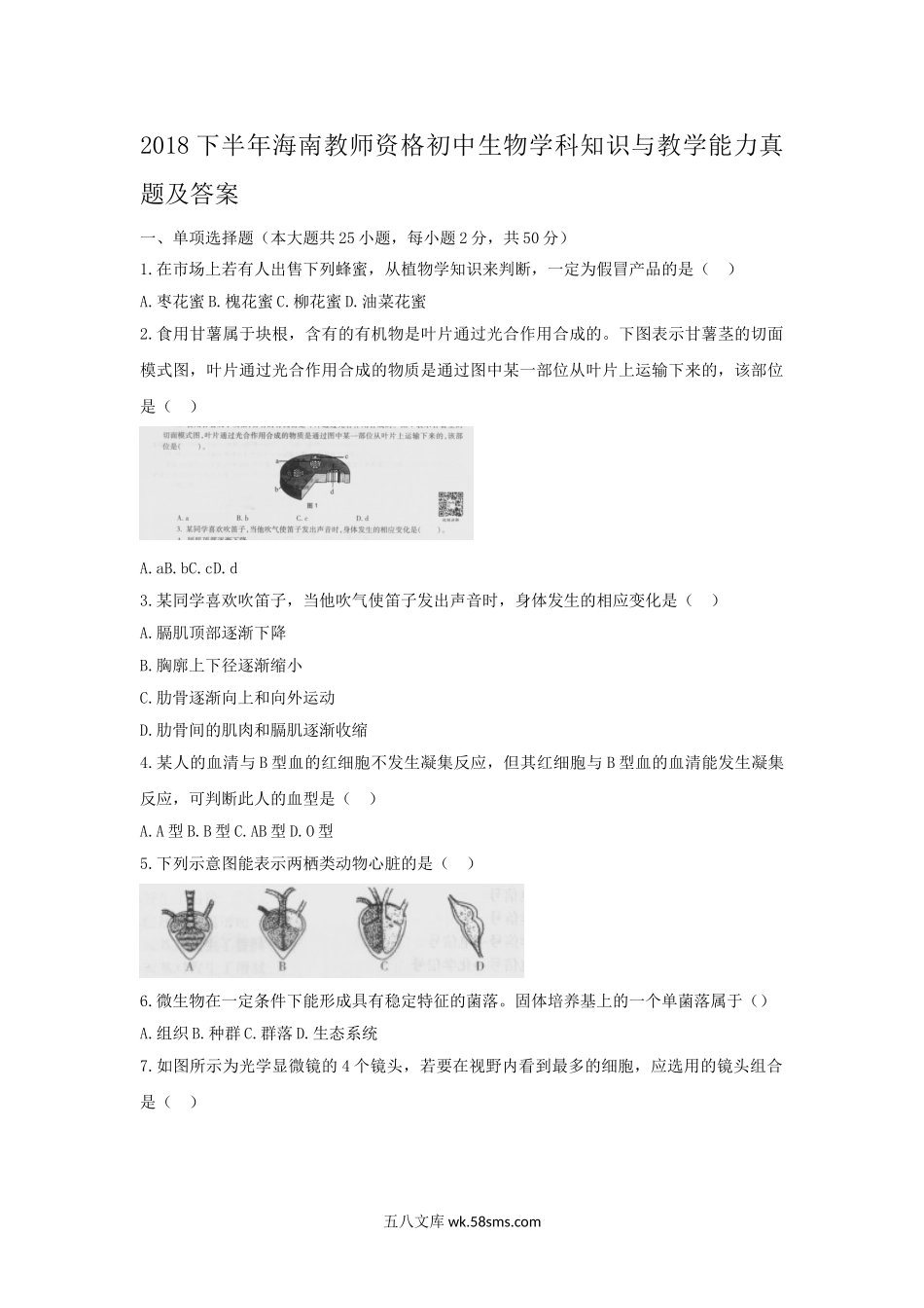 2018下半年海南教师资格初中生物学科知识与教学能力真题及答案.doc_第1页