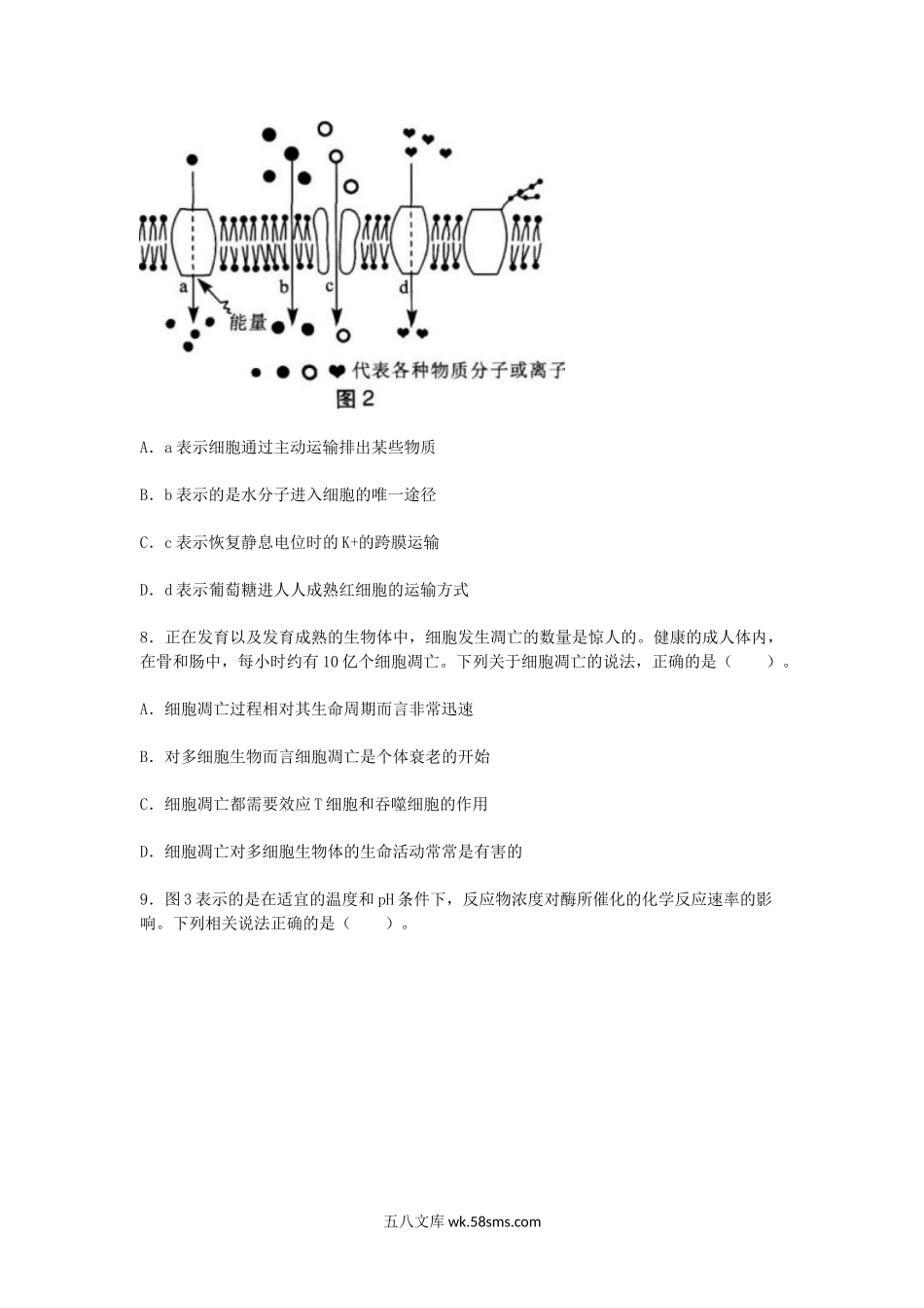 2018下半年黑龙江教师资格高中生物学科知识与教学能力真题及答案.doc_第3页