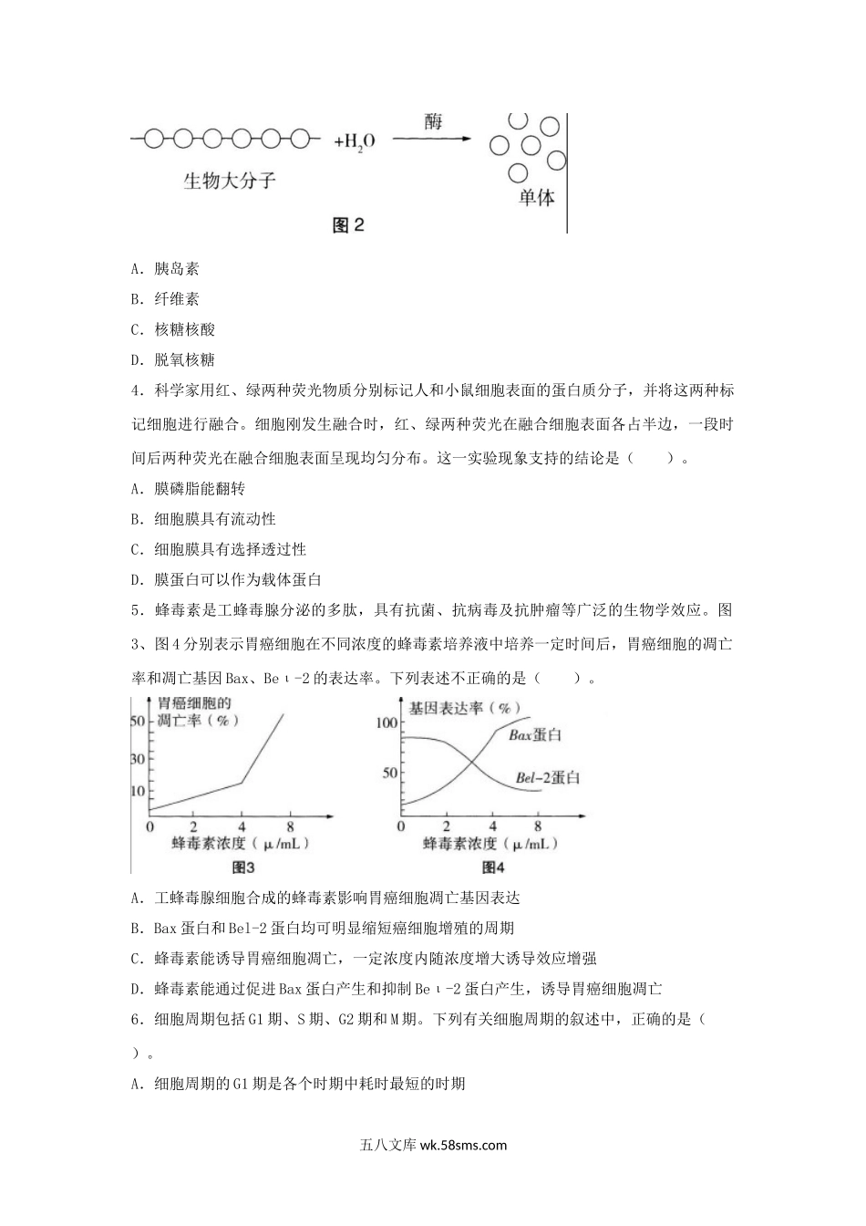 2019上半年安徽教师资格高中生物学科知识与教学能力真题及答案.doc_第2页