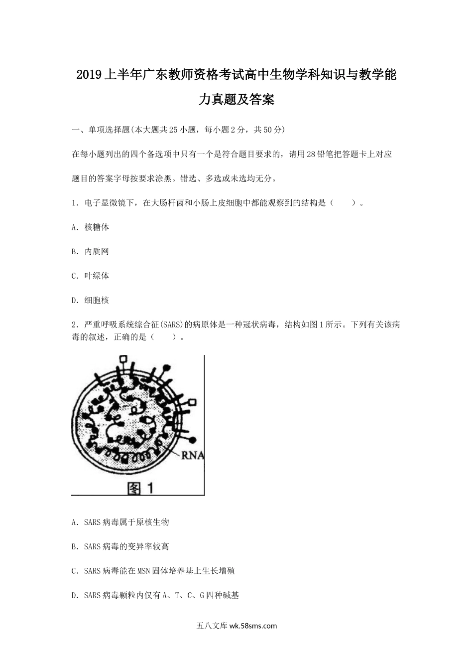 2019上半年广东教师资格考试高中生物学科知识与教学能力真题及答案.doc_第1页