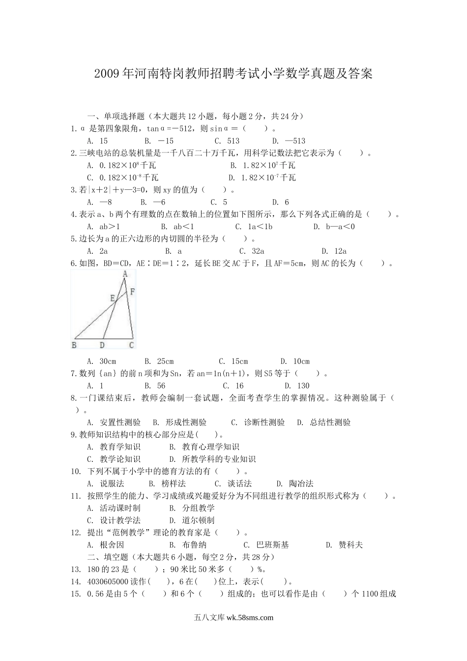 2009年河南特岗教师招聘考试小学数学真题及答案.doc_第1页