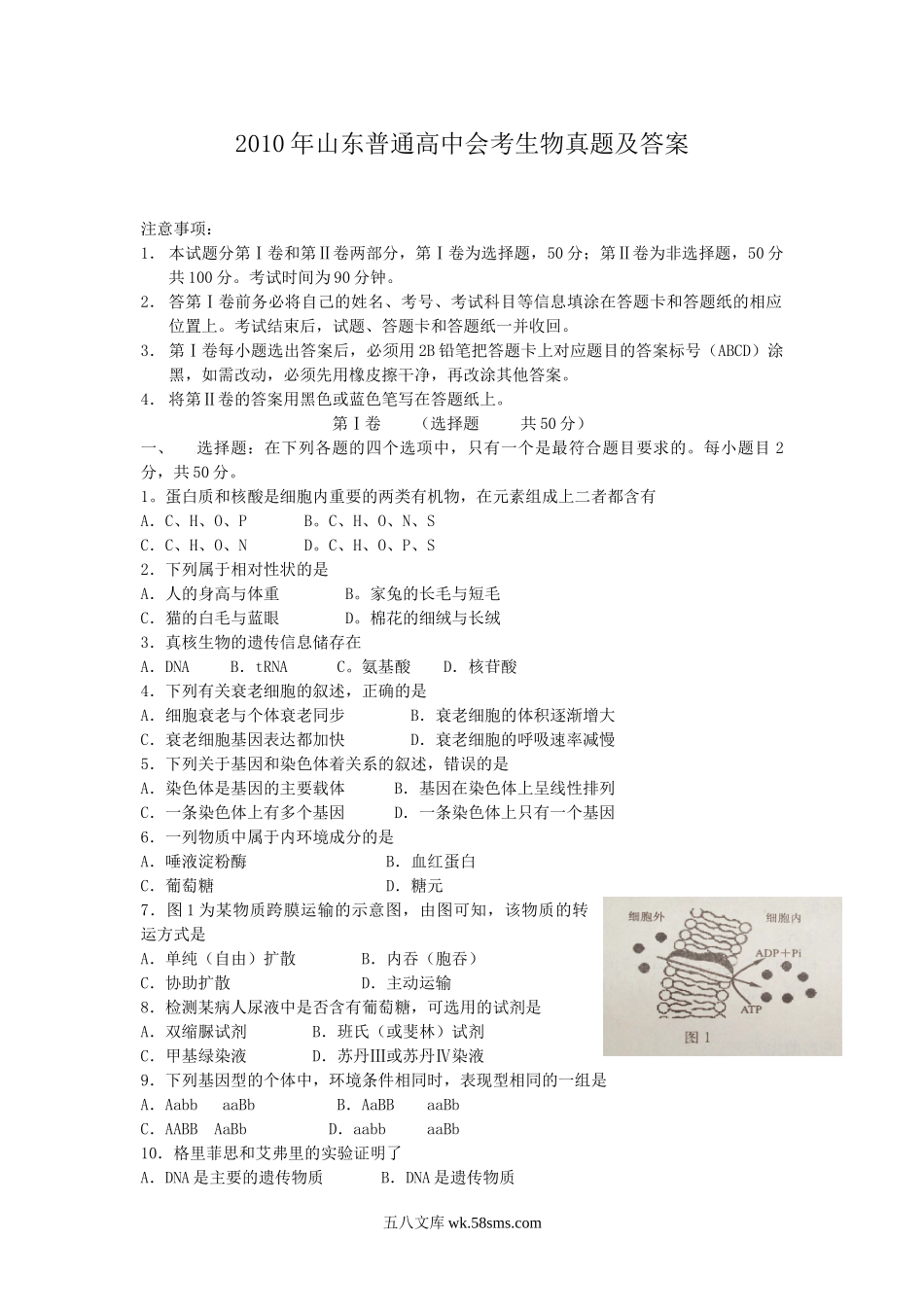 2010年山东普通高中会考生物真题及答案.doc_第1页