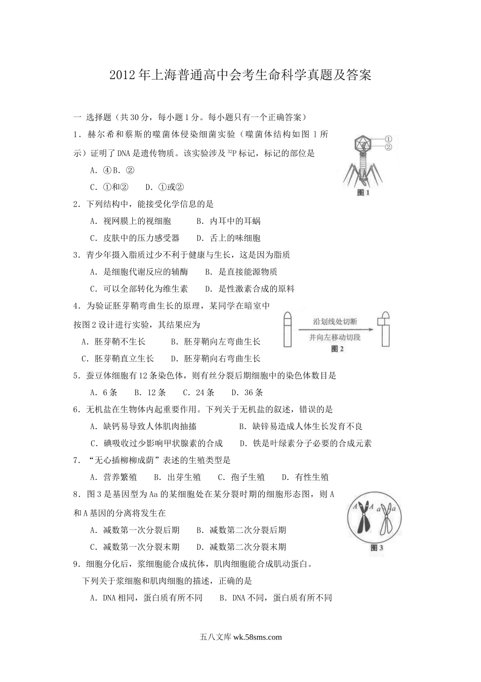 2012年上海普通高中会考生命科学真题及答案.doc_第1页