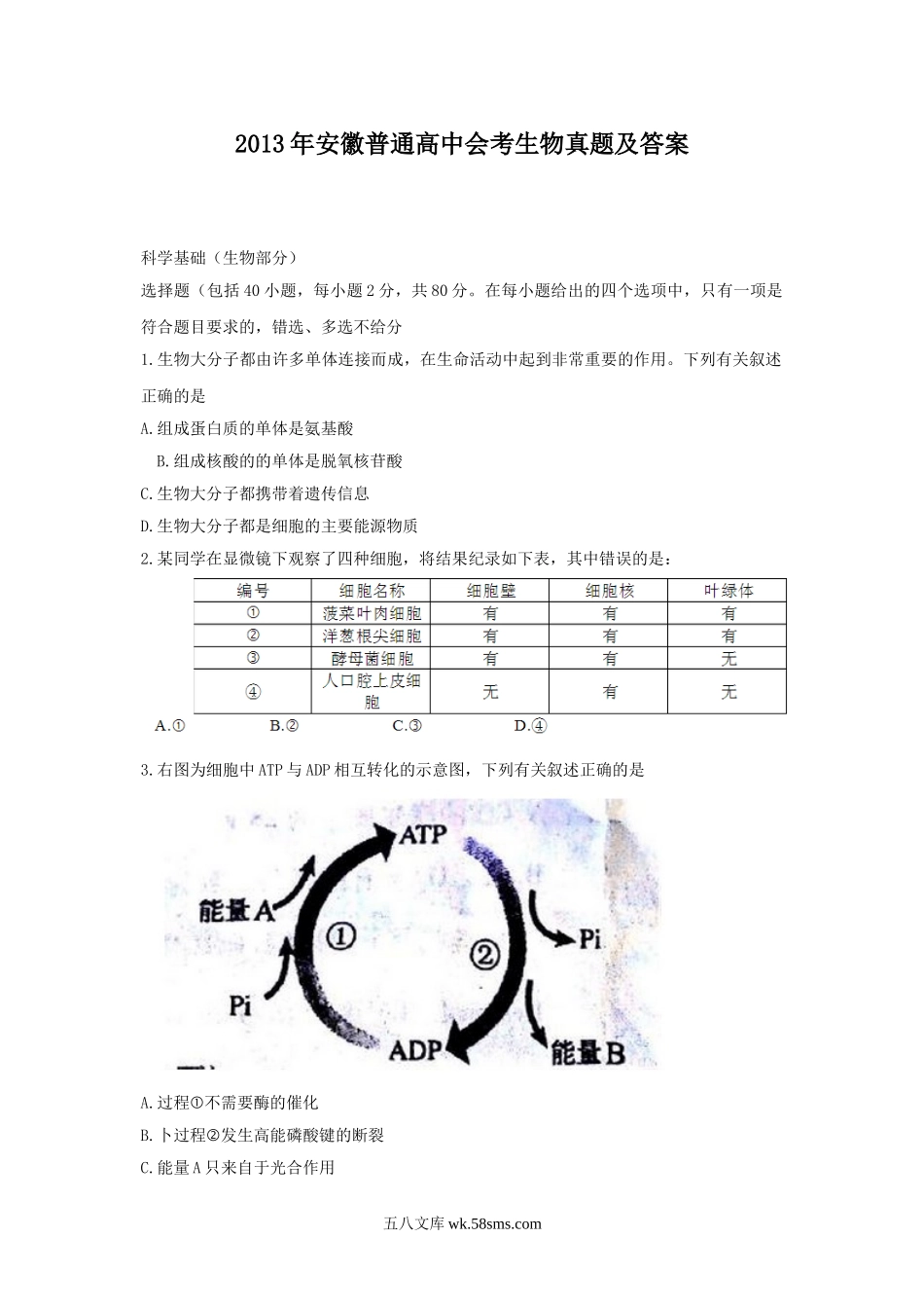 2013年安徽普通高中会考生物真题及答案.doc_第1页