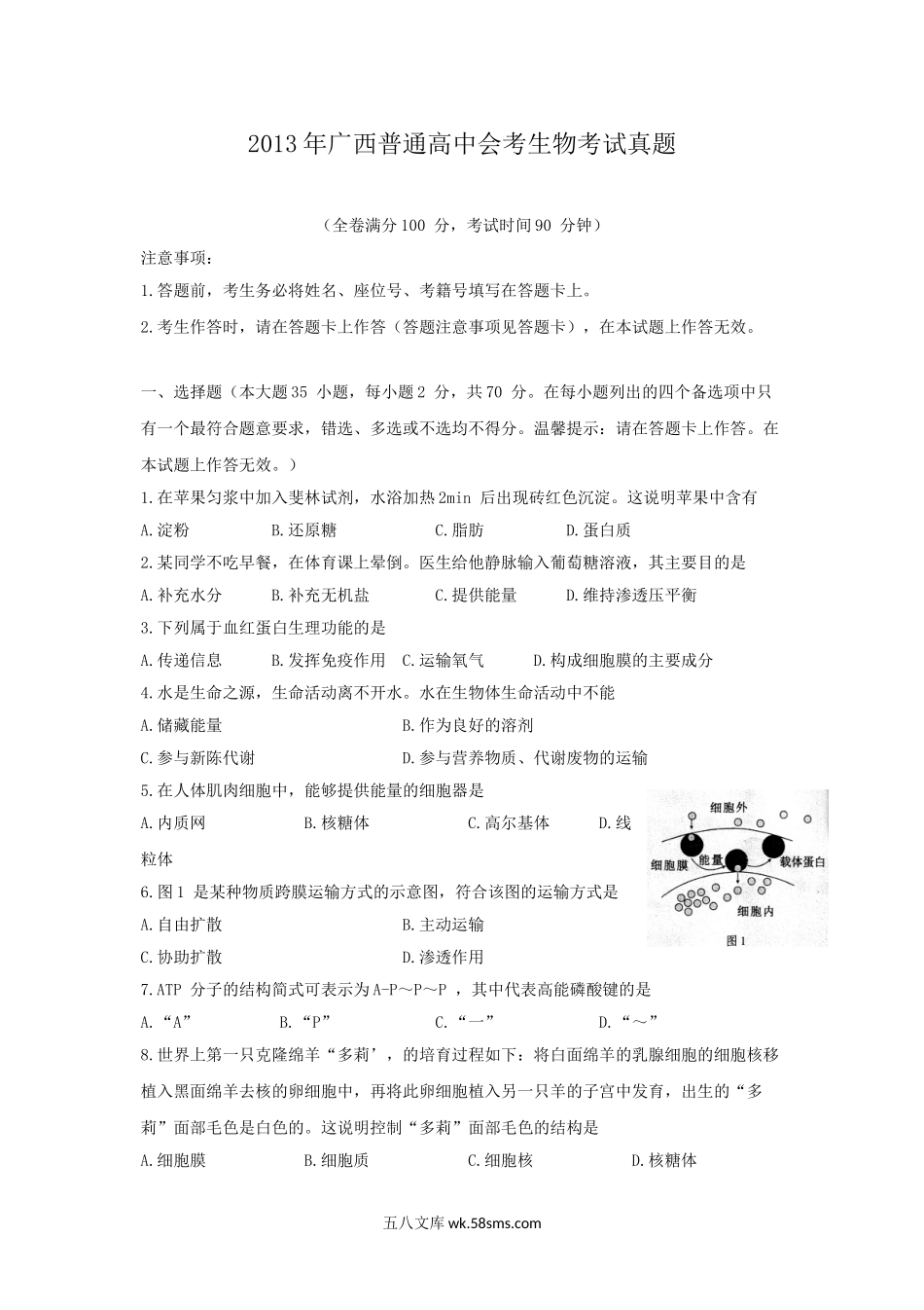 2013年广西普通高中会考生物考试真题.doc_第1页