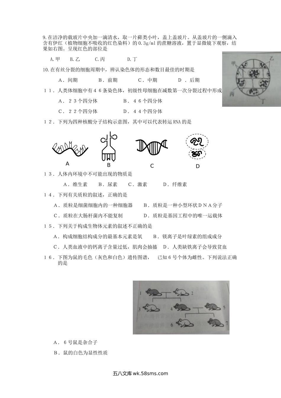 2013年河北普通高中会考生物真题及答案.doc_第2页