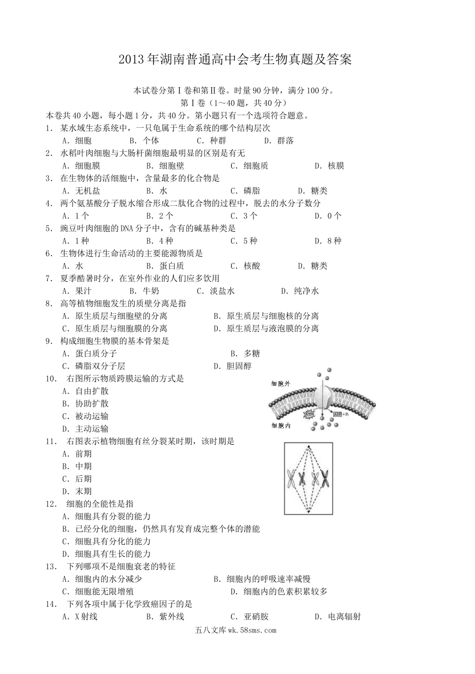 2013年湖南普通高中会考生物真题及答案.doc_第1页