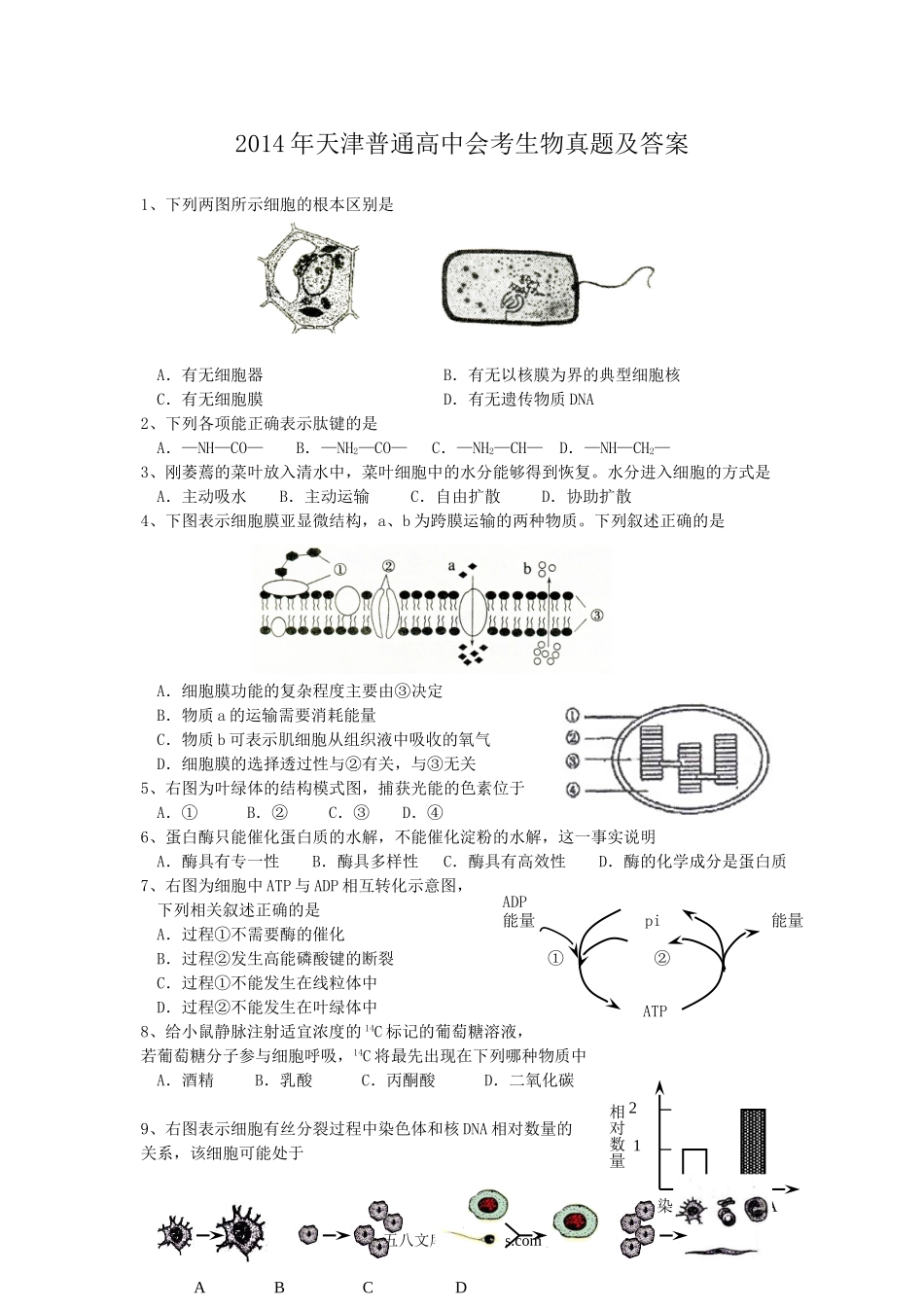 2014年天津普通高中会考生物真题及答案.doc_第1页