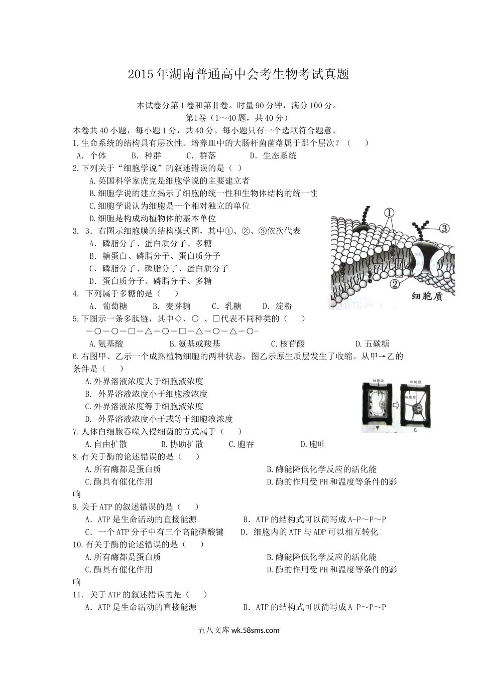 2015年湖南普通高中会考生物考试真题.doc_第1页