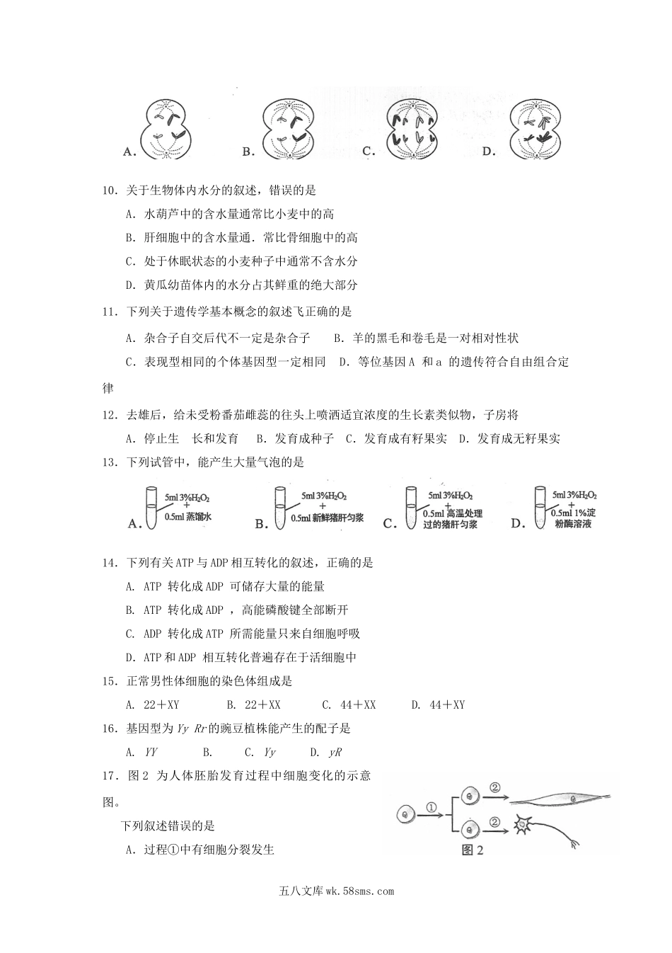 2015年上海普通高中会考生命科学真题及答案.doc_第2页