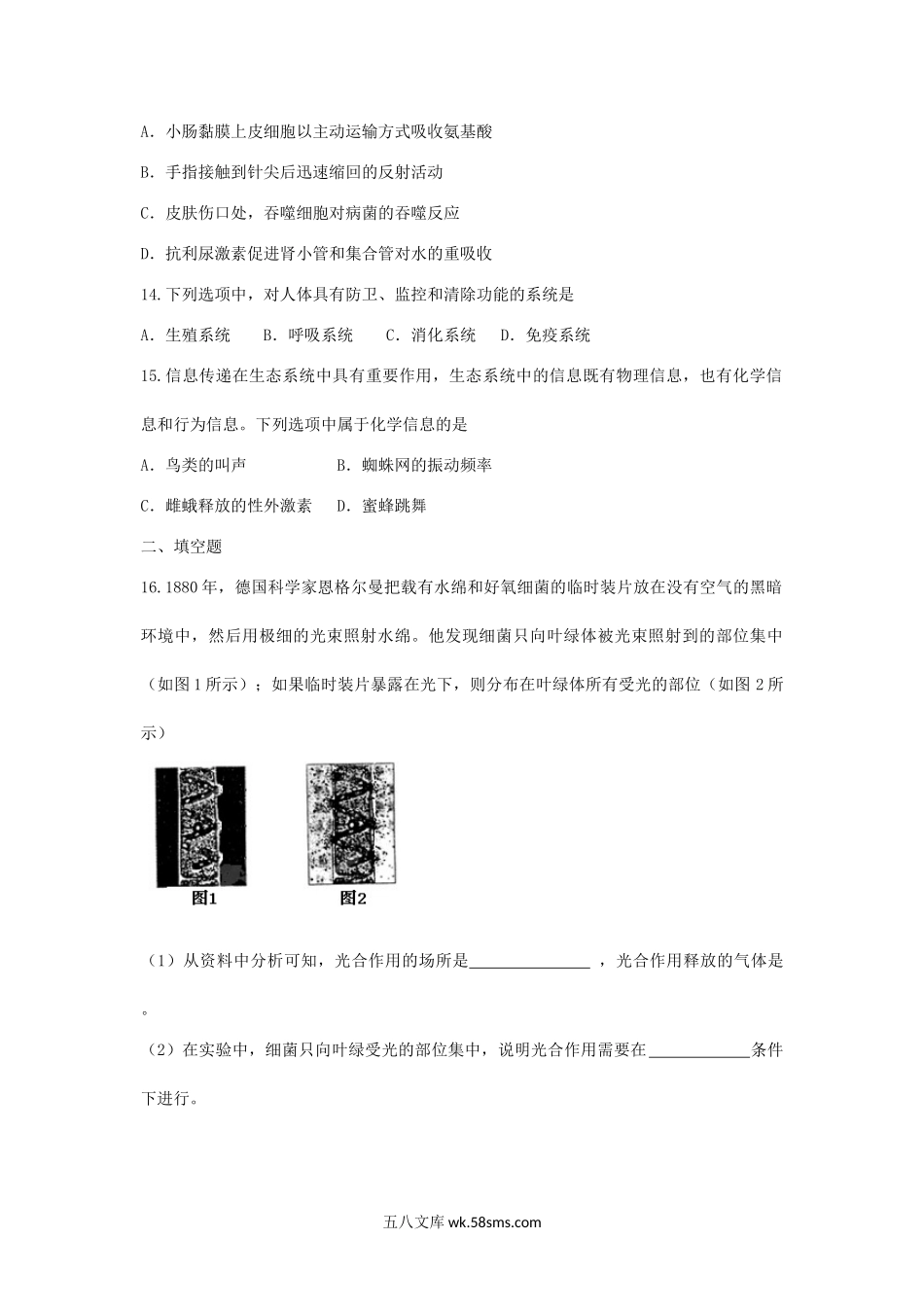 2017年辽宁普通高中会考生物真题及答案.doc_第3页