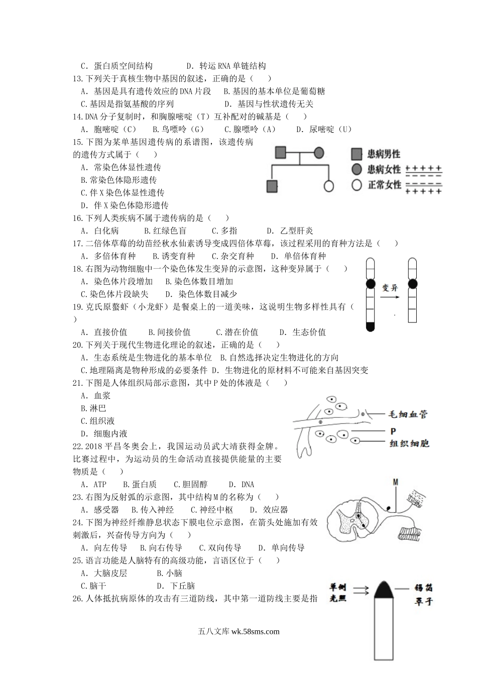 2018年江苏普通高中会考生物真题及答案.doc_第2页