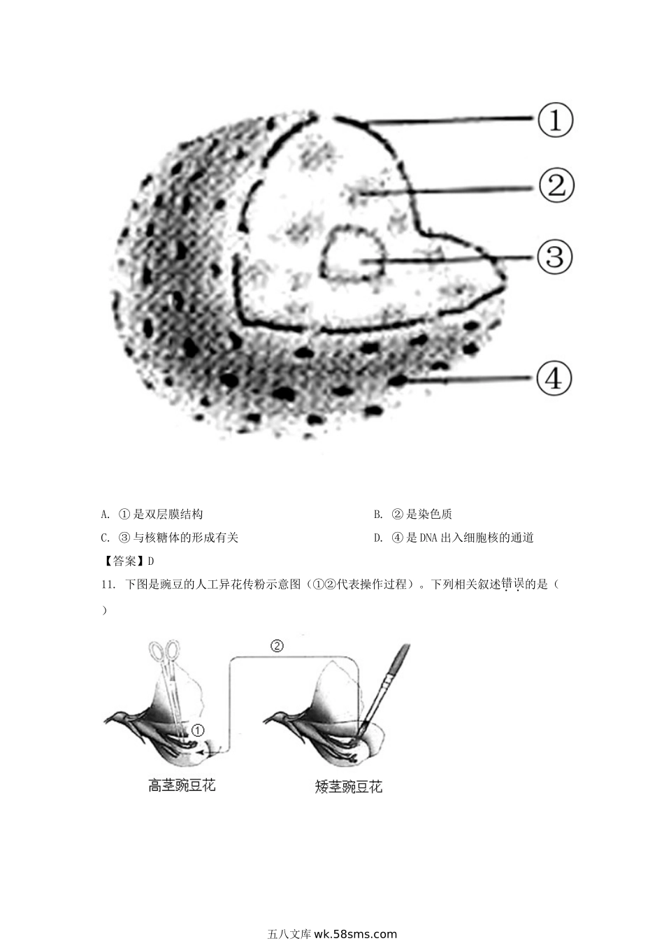 2019年河北普通高中会考生物真题及答案.doc_第3页