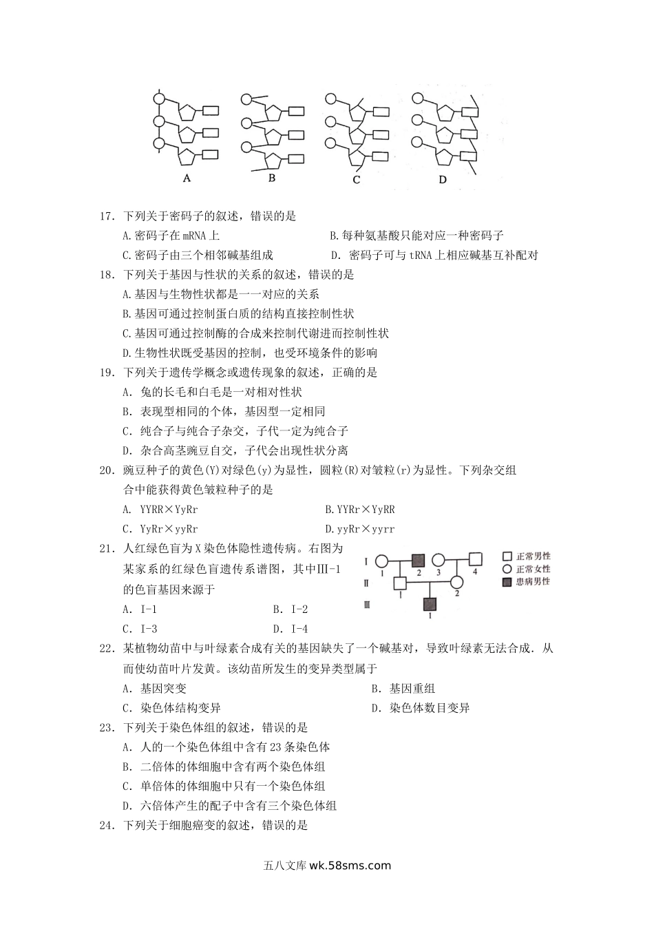 2019年山东普通高中会考生物真题.doc_第3页