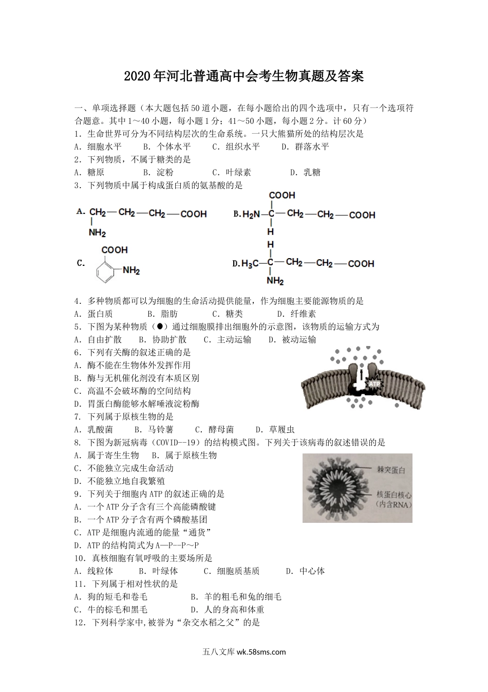 2020年河北普通高中会考生物真题及答案.doc_第1页