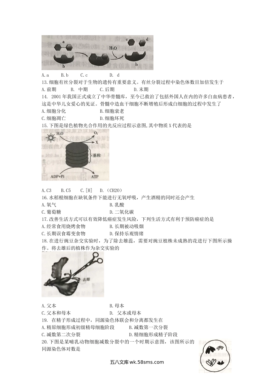 2020年江苏普通高中会考生物真题及答案.doc_第2页